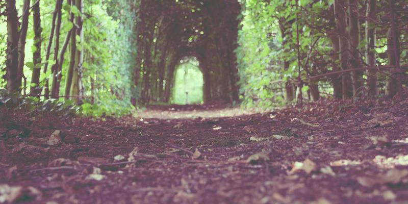 一二线城市月嫂/育儿嫂雇佣合同避坑指南：守护家庭与权益的本地便民服务关键