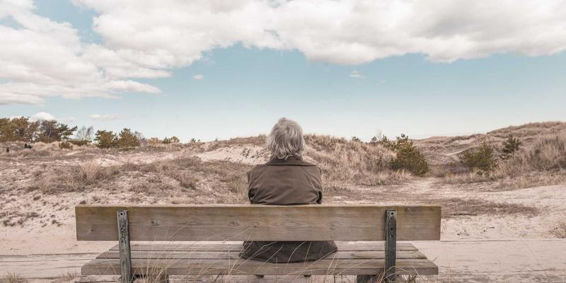 专业生活服务指南：季节性庭院维护之修剪与灌溉系统冬季防护