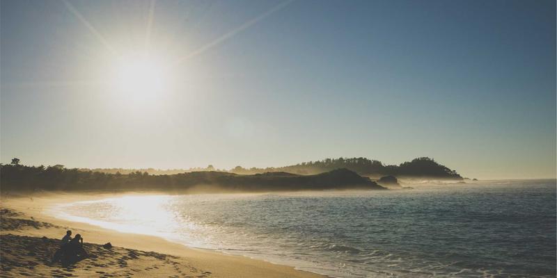 家庭绿植养护全攻略：社区信息与家政服务视角下的常见问题解决方案