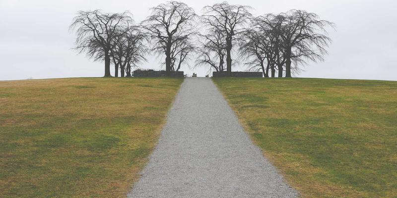 家庭饮用水安全指南：滤芯选择、水质检测与日常维护全解析