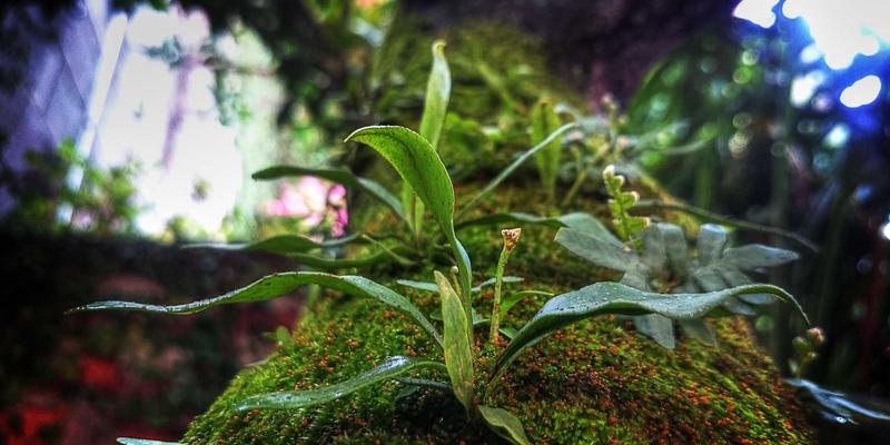 家政与维修：现代生活服务的双引擎，打造品质生活的核心支撑