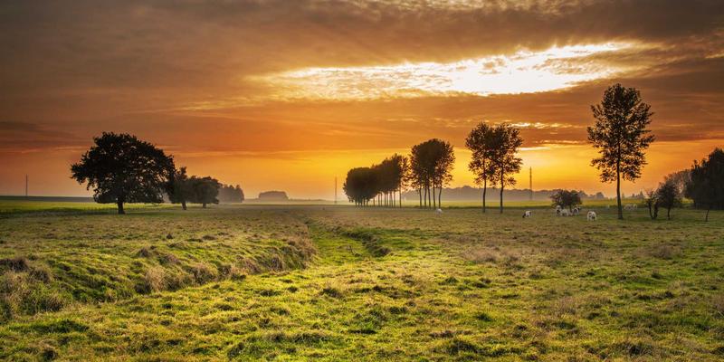 家政服务新升级：整合社区信息的家庭健康管理方案，从膳食到体能一站式解决