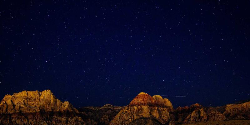 家政生活服务新选择：宠物上门喂养与托管服务的五大挑选注意事项