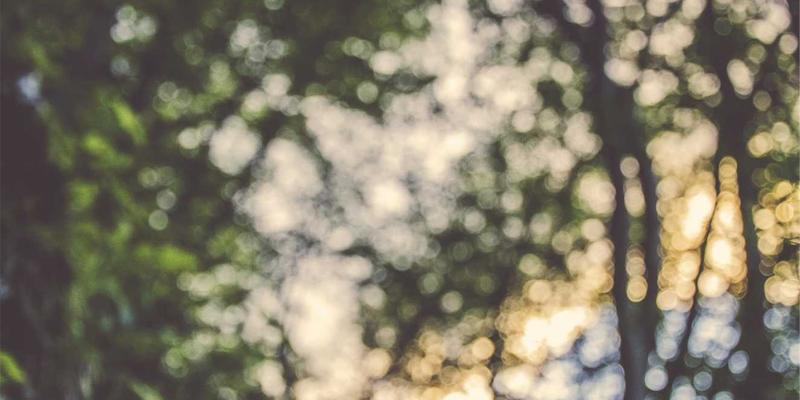 急急贝本地生活服务指南：一二线城市白领的周末收纳与私厨解决方案