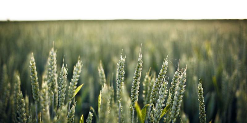 急急贝：连接社区信息与本地服务的智能生活新范式