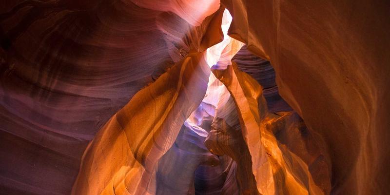 急急贝：重新定义现代家政生活服务，打造品质生活新体验