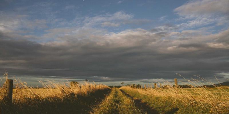 生活服务42：便民信息与本地家政服务如何重塑现代社区生活