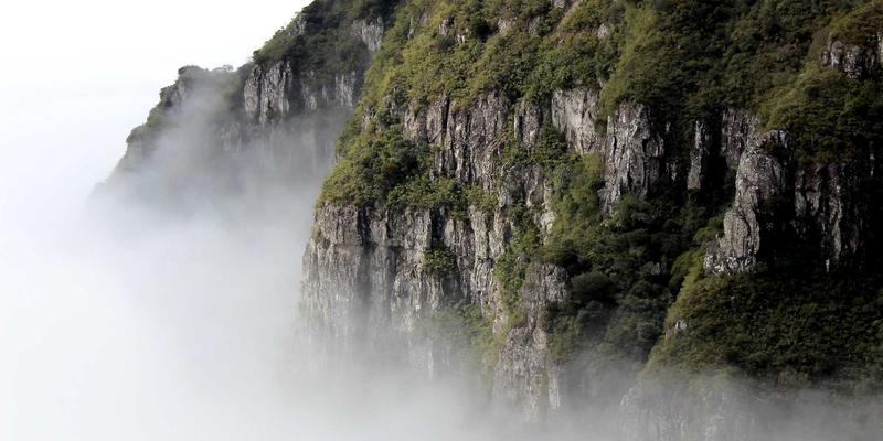 生活服务44：本地服务如何借力“急急贝”模式重塑社区信息生态