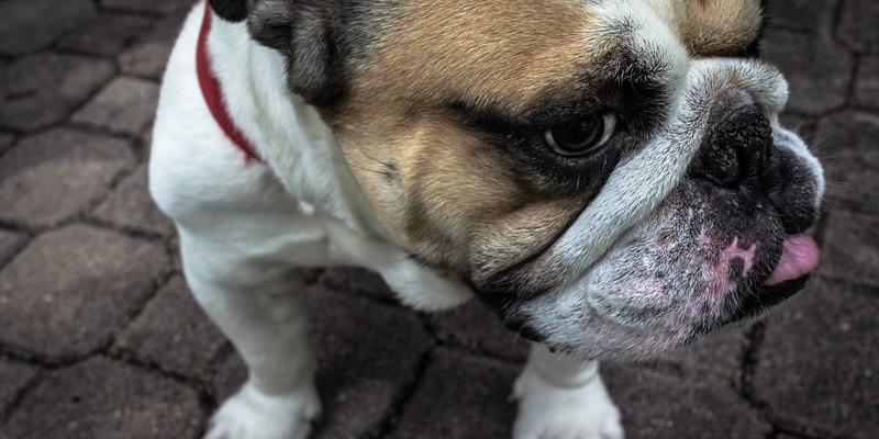 生活服务81：构建智慧生活新生态，便民信息与专业家政如何重塑现代生活