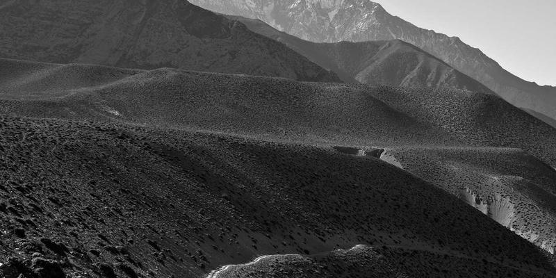 生活服务怎么用?掌握这三大核心:维修、便民信息与本地服务高效使用指南