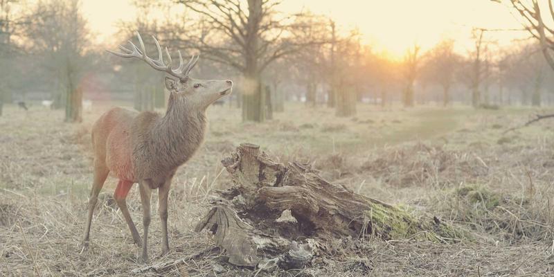 生活服务评测：当维修遇上急急贝，便民信息如何真正便民？