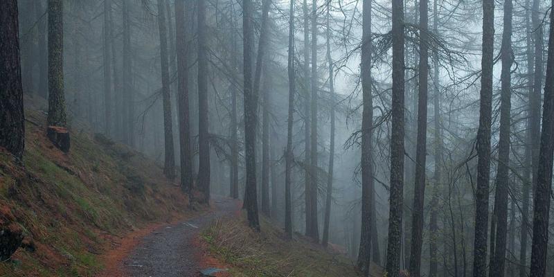 社区信息与便民服务新趋势：本地特色食材采购与溯源，打造从田间到餐桌的透明链条