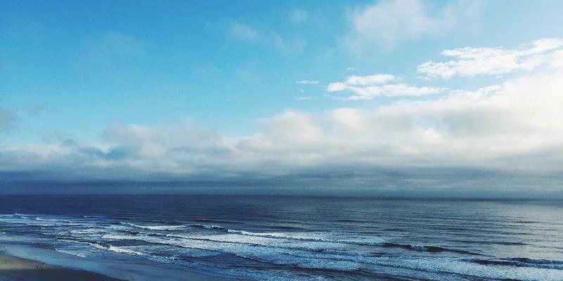 社区团购选品攻略：如何辨别生鲜品质与本地供应商可靠性，打造值得信赖的社区服务